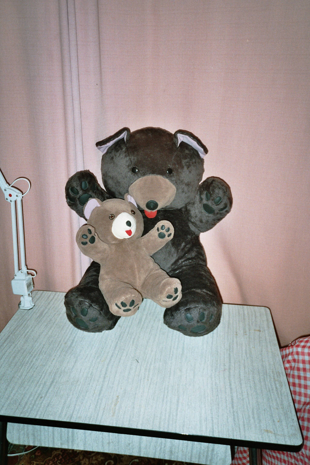 imm036.jpg