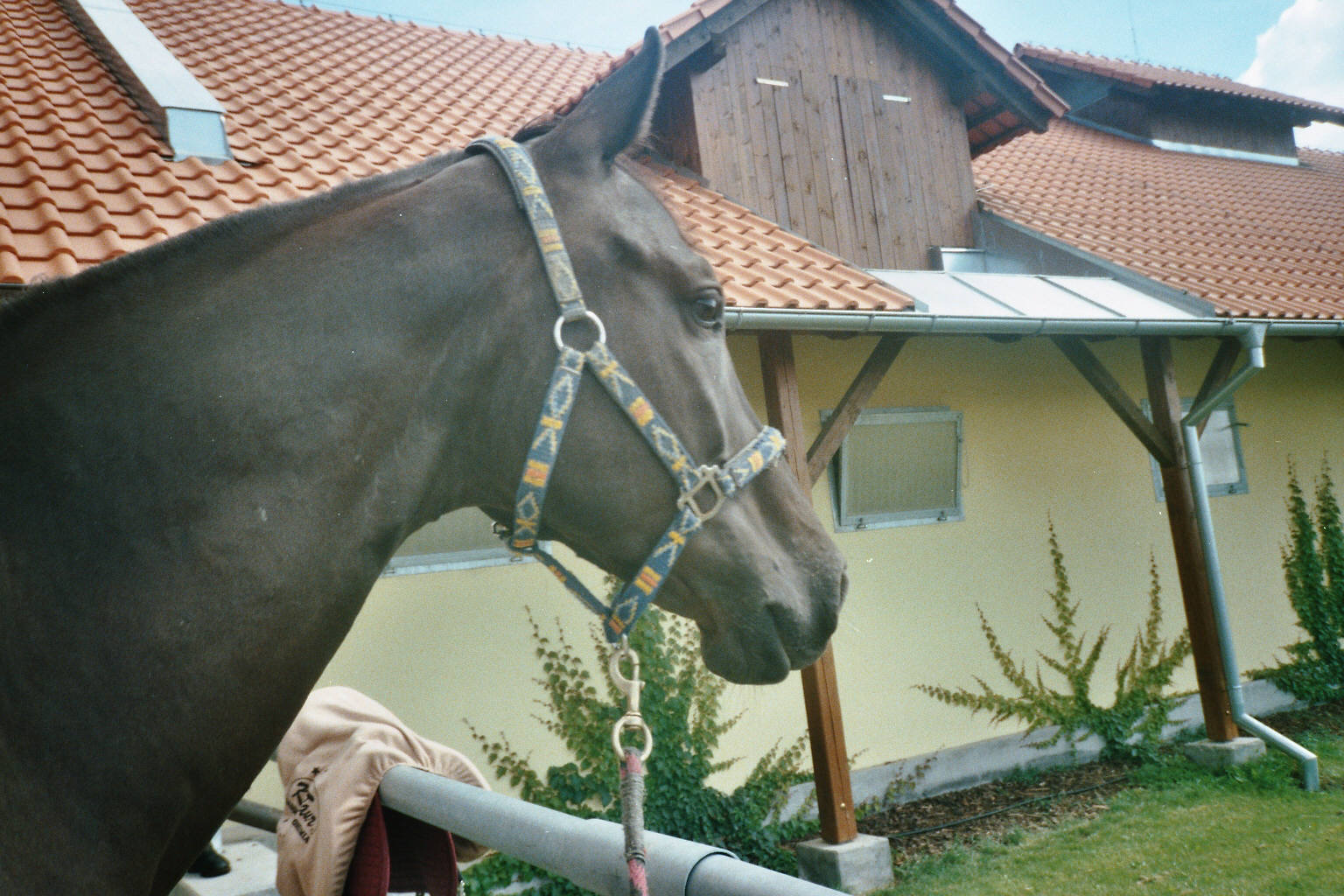 imm022.jpg
